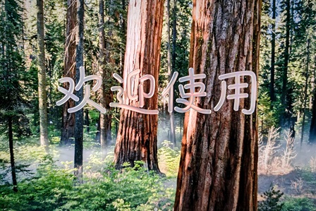 已更新 macOS 26
